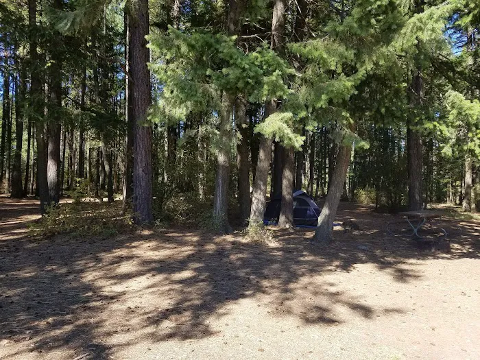 Thimbleberry Group Camp 1