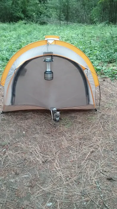 Thimbleberry Group Camp 4