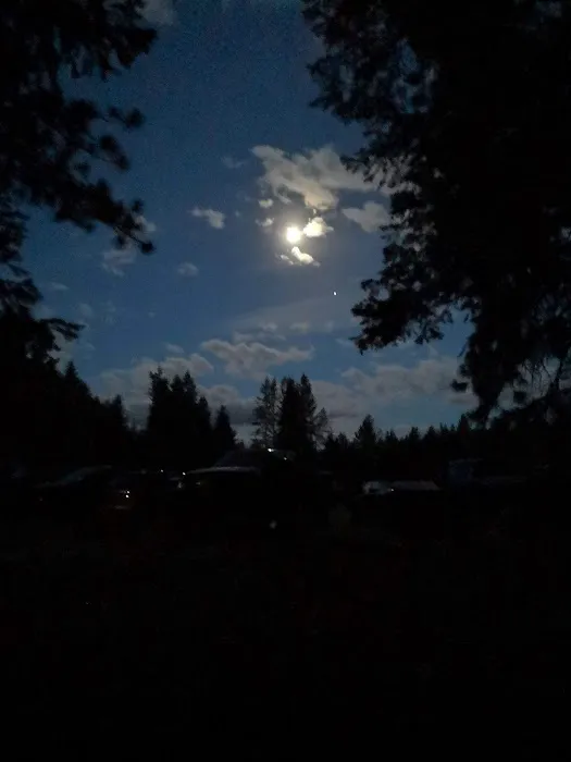 Thimbleberry Group Camp 8