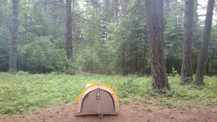Thimbleberry Group Camp 7