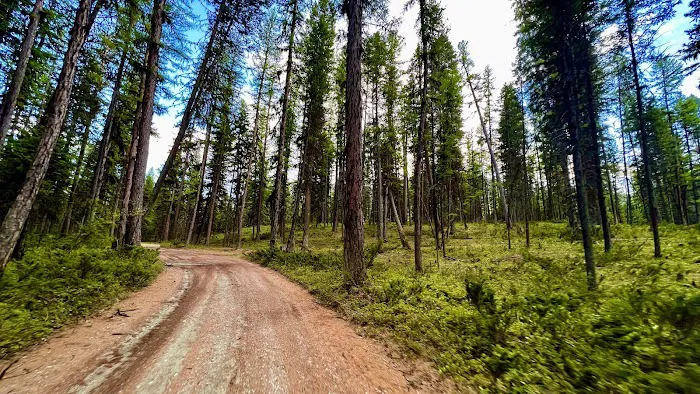 Tally Lake Campground 3