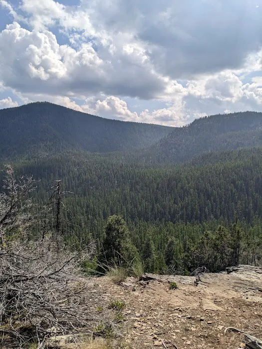 Tally Lake Campground 7