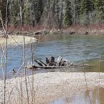 Blackfoot Canyon Campground