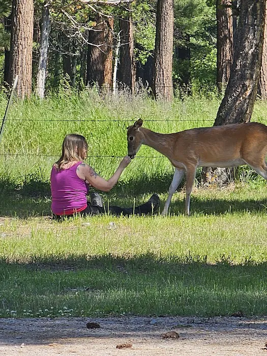 Hooper Park Campground 1