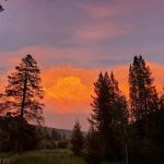 Dickie Bridge Campground