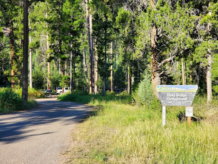 Dickie Bridge Campground 2