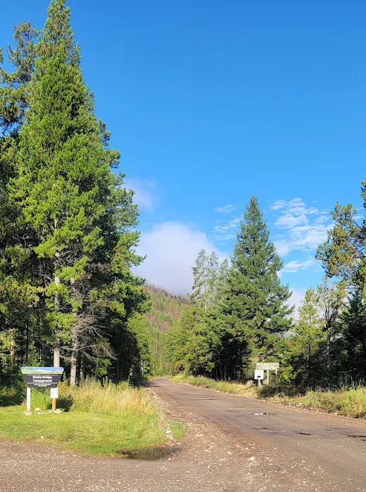 Dickie Bridge Campground 4