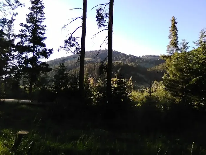 Dickie Bridge Campground 7