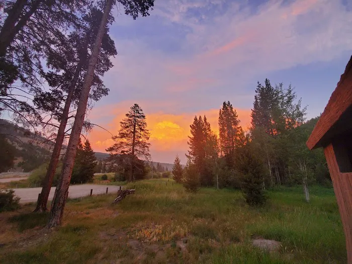 Dickie Bridge Campground 8