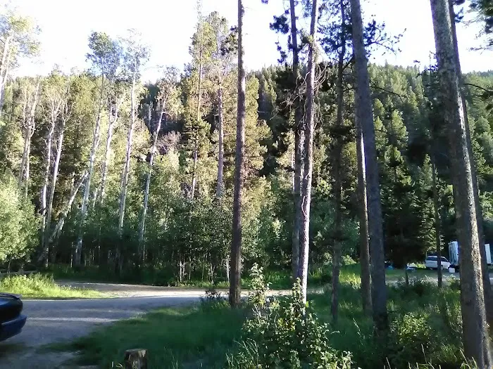 Dickie Bridge Campground 9
