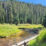 Red River Campground