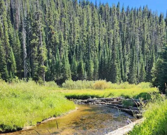 Red River Campground