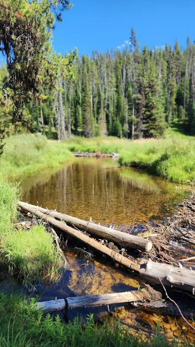 Red River Campground 8