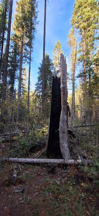 Jerry Johnson Campground 5