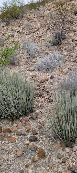 Rincon 1 Campground 4