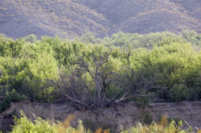 Johnson Ranch 6