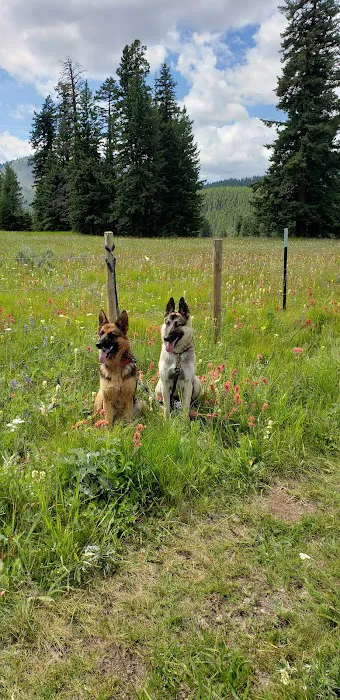 Salmon Meadows Campground 1