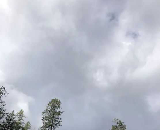 Salmon Meadows Campground