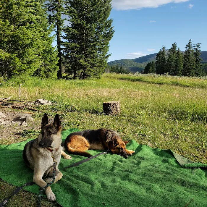 Salmon Meadows Campground 5