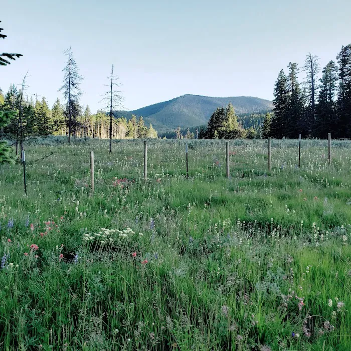 Salmon Meadows Campground 8