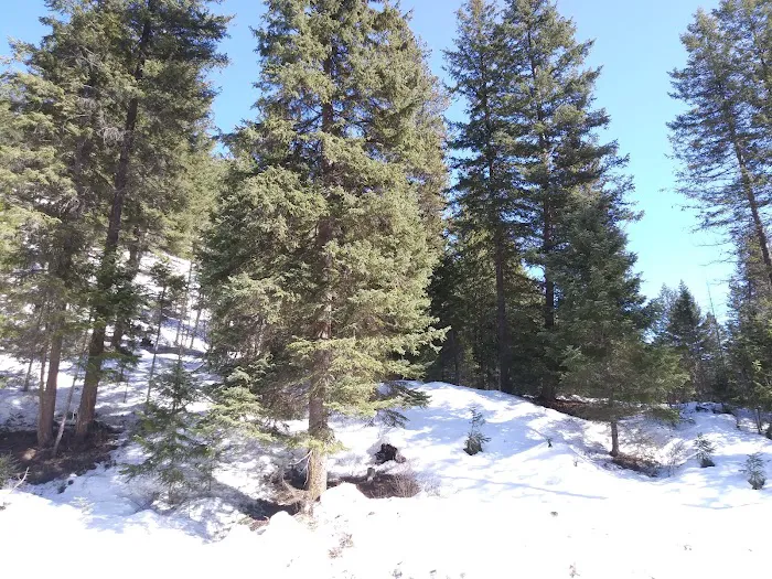 Kerr Campground 3
