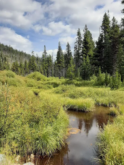 Long Swamp Campground 0
