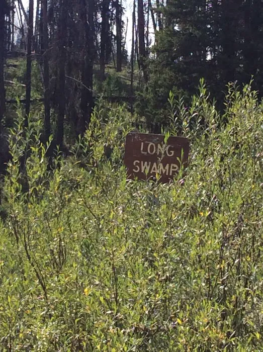 Long Swamp Campground 5