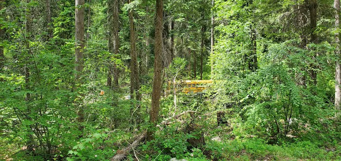 Oriole Campground 3