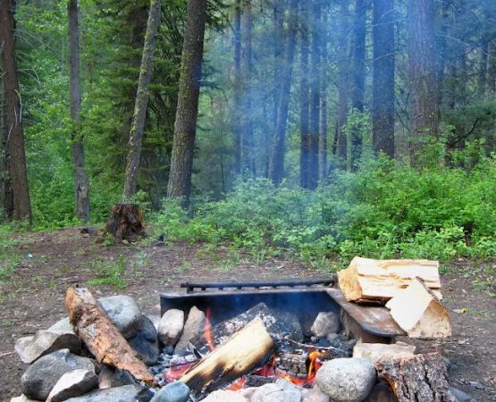 Oriole Campground