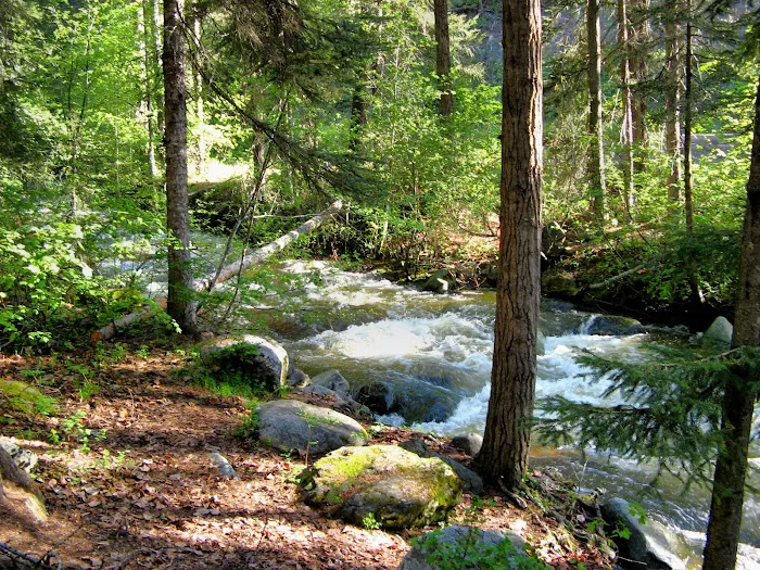 Oriole Campground 1