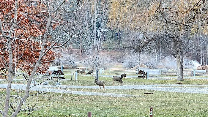 Oriole Campground 6