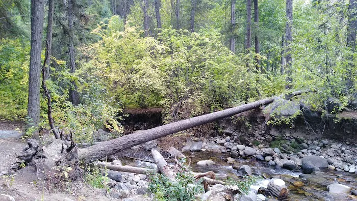 Cottonwood Campground 0