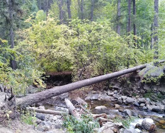 Cottonwood Campground