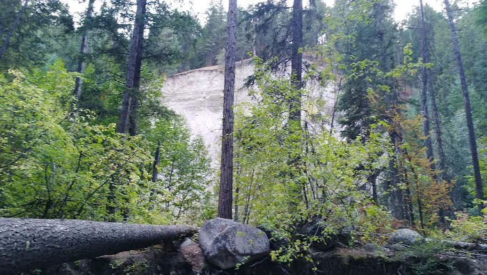 Cottonwood Campground 1