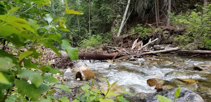 Cottonwood Campground 5