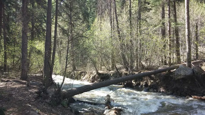 Cottonwood Campground 8