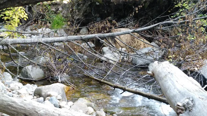 Cottonwood Campground 6