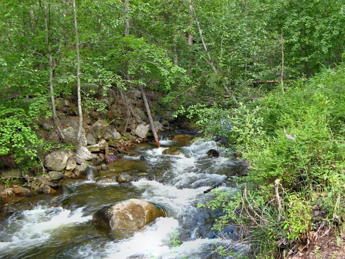 Cottonwood Campground 7