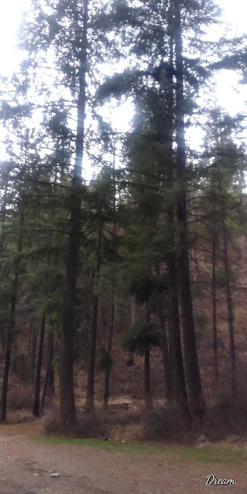 Sugarloaf Campgrounds 3