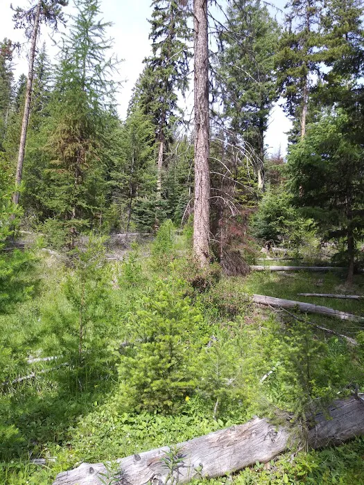 North Fork Ninemile Campground 8