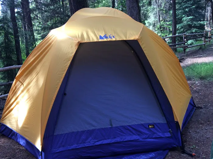 North Fork Ninemile Campground 9