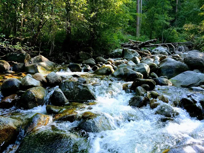 South Fork Junction Campground 2