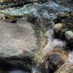 South Fork Junction Campground