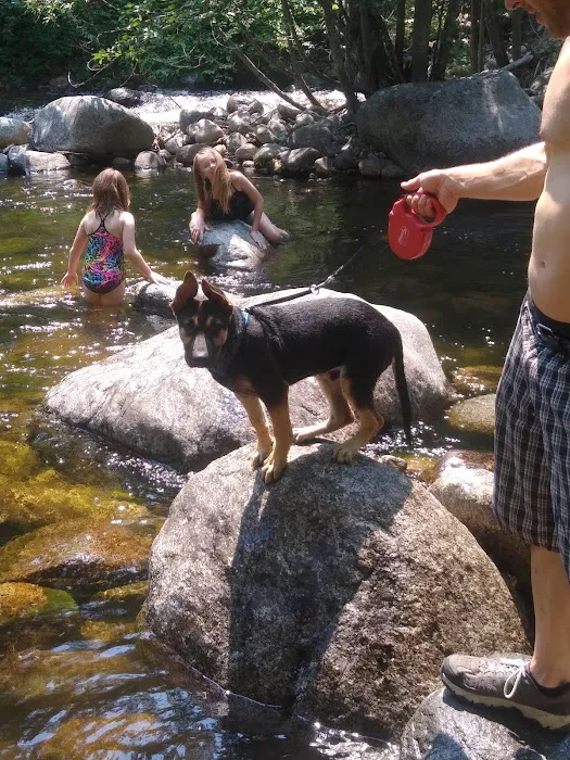 South Fork Junction Campground 3