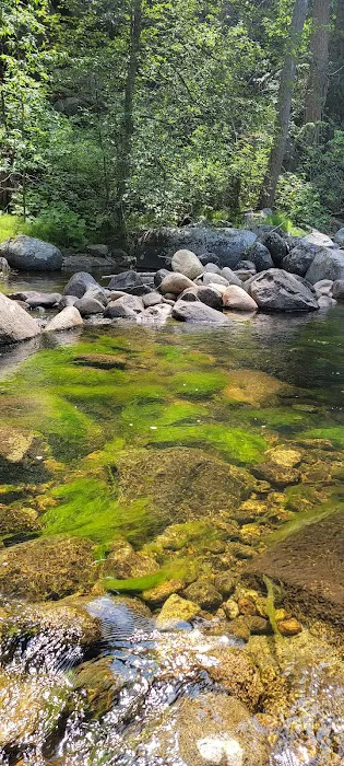 South Fork Junction Campground 4