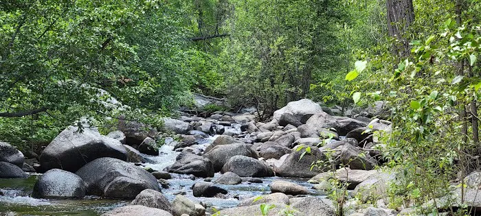 South Fork Junction Campground 6