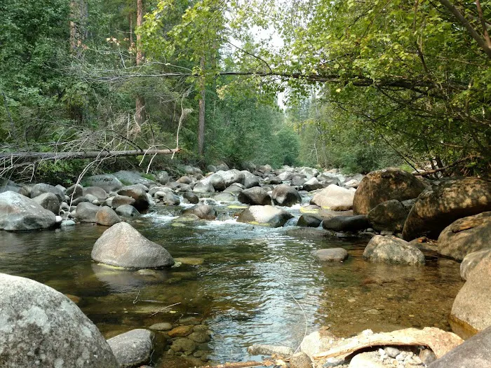 South Fork Junction Campground 8