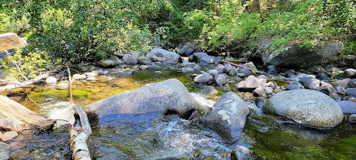South Fork Junction Campground 7