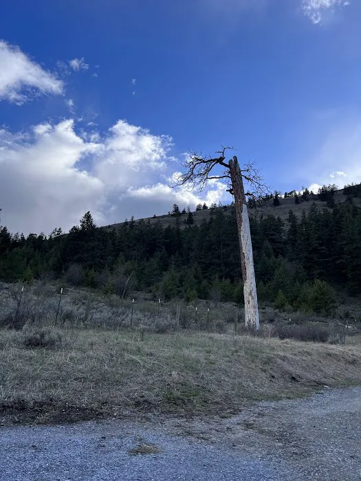 Chopaka Lake Campground 4