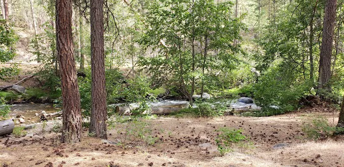 Beaver Campground 3